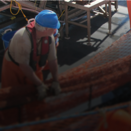 Fishnet Manufacturing